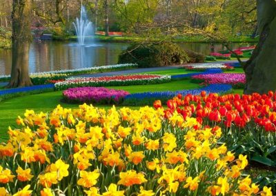 Keukenhof Gardens and Delft Guided Tour from Amsterdam