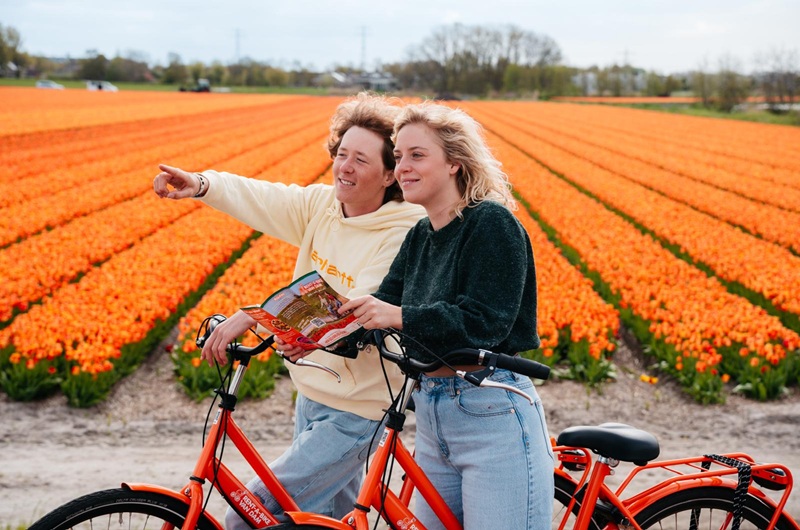 Self-guided Tour Keukenhof Gardens and Bike Rental from Keukenhof to Tulip Fields with Transfers